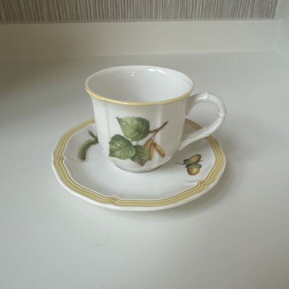 #100 Villeroy & Boch Parkland A/D Cup - Espresso - Cup & Saucer - Set - Picture 1 of 4